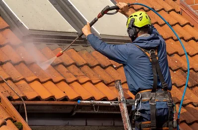 Démoussage et hydrofuge de toiture à Dieudonné